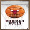 Trends International NBA Chicago Bulls - Drip Basketball 21 Wall Poster, 14.725" x 22.375", Bronze Framed Version view 1