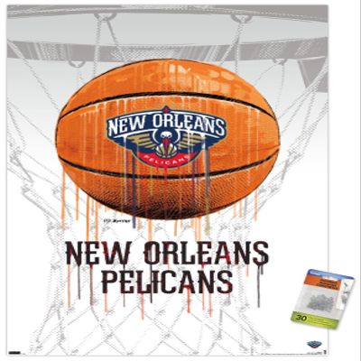 Trends International NBA New Orleans Pelicans - Drip Basketball 21 Wall Poster with Pushpins