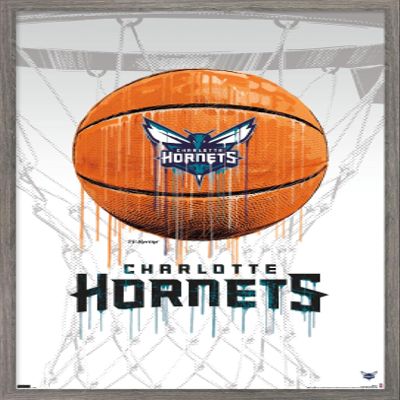 Trends International NBA Charlotte Hornets - Drip Basketball 21 Wall Poster, 22.375" x 34", Barnwood Framed Version
