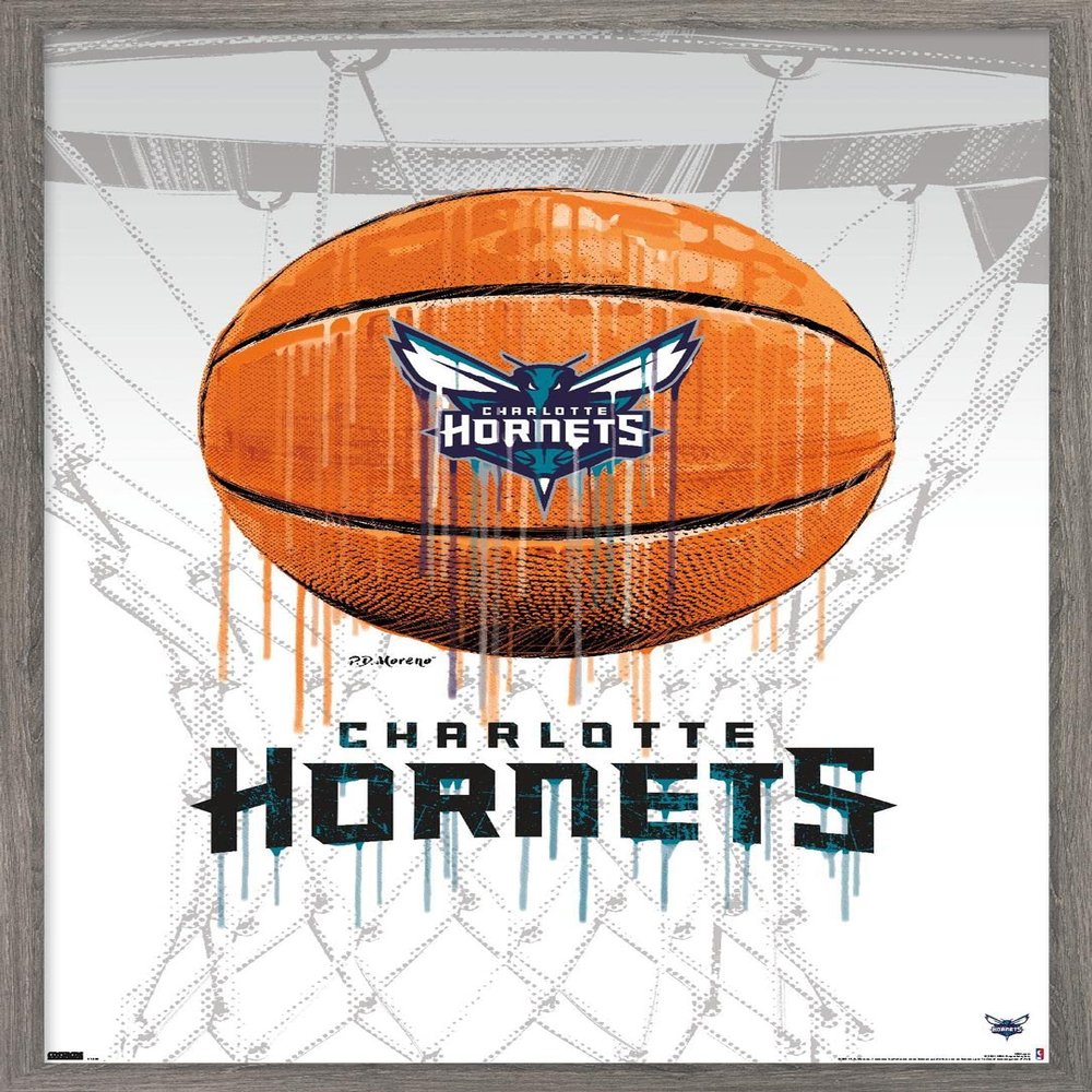 Trends International NBA Charlotte Hornets - Drip Basketball 21 Wall Poster, 22.375" x 34", Barnwood Framed Version
