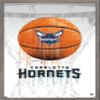 Trends International NBA Charlotte Hornets - Drip Basketball 21 Wall Poster, 22.375" x 34", Barnwood Framed Version view 1