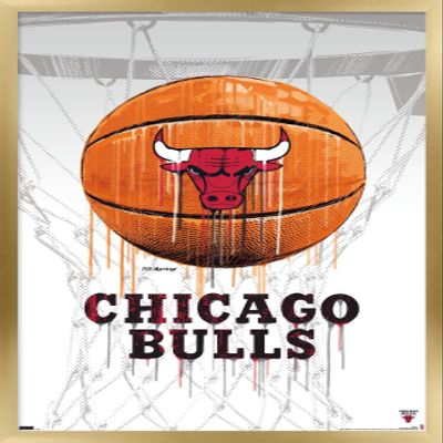 Trends International NBA Chicago Bulls - Drip Basketball 21 Wall Poster, 14.725" x 22.375", Gold Framed Version
