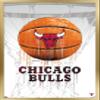 Trends International NBA Chicago Bulls - Drip Basketball 21 Wall Poster, 14.725" x 22.375", Gold Framed Version view 1