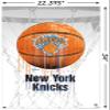 Trends International NBA New York Knicks - Drip Basketball 21 Wall Poster with Push Pins view 3