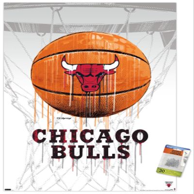 NBA Chicago Bulls - Drip Basketball 21 Wall Poster with Push Pins