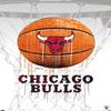 NBA Chicago Bulls - Drip Basketball 21 Wall Poster with Push Pins view 4