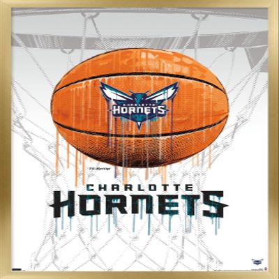 Trends International NBA Charlotte Hornets - Drip Basketball 21 Wall Poster, 22.375" x 34", Gold Framed Version