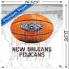Trends International NBA New Orleans Pelicans - Drip Basketball 21 Wall Poster with Push Pins view 3