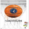 Trends International NBA Minnesota Timberwolves - Drip Basketball 21 Wall Poster with Pushpins view 1