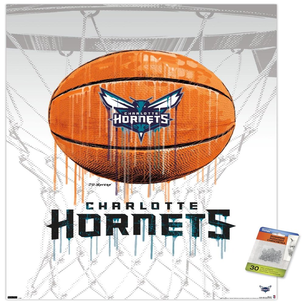 Trends International NBA Charlotte Hornets - Drip Basketball 21 Wall Poster with Pushpins