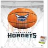 Trends International NBA Charlotte Hornets - Drip Basketball 21 Wall Poster with Pushpins view 1