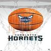 Trends International NBA Charlotte Hornets - Drip Basketball 21 Wall Poster with Pushpins view 4