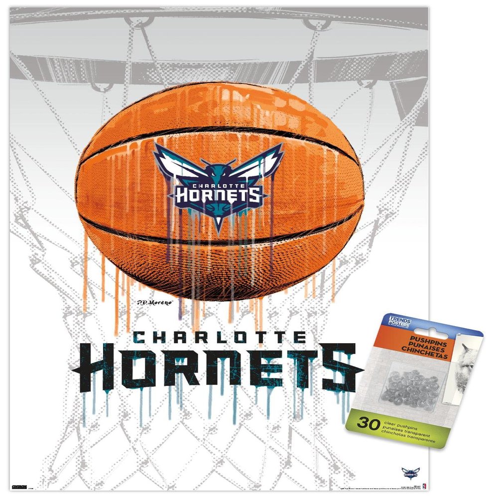Trends International NBA Charlotte Hornets - Drip Basketball 21 Wall Poster with Push Pins