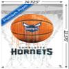 Trends International NBA Charlotte Hornets - Drip Basketball 21 Wall Poster with Push Pins view 3
