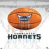Trends International NBA Charlotte Hornets - Drip Basketball 21 Wall Poster with Push Pins view 4