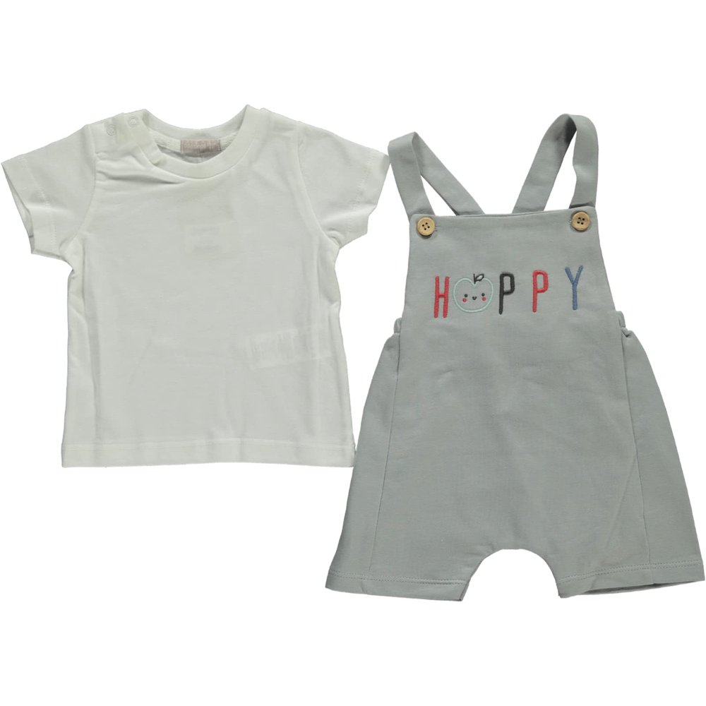 Baby Boy 2-Piece Hello Joyful Apple Tee and Romper Set, 100% Cotton Clothing Set for Baby Boys and Toddlers (Grey, 6-9 Months)