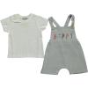 Baby Boy 2-Piece Hello Joyful Apple Tee and Romper Set, 100% Cotton Clothing Set for Baby Boys and Toddlers (Grey, 6-9 Months) view 1