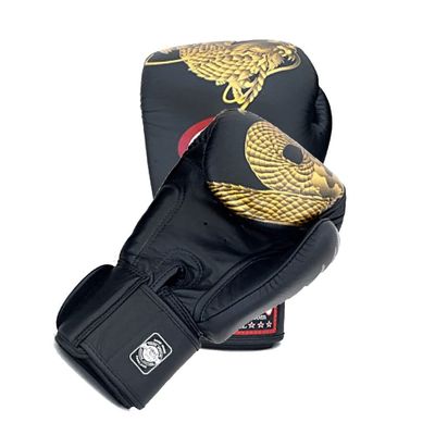 Twins Boxing Muay Thai Training Sparring Gloves (Dragon Gold,12 oz)
