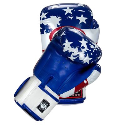 Twins Boxing Muay Thai Training Sparring Gloves (USA,8 oz)