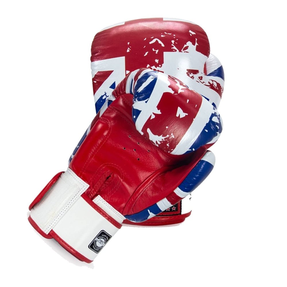 Twins Boxing Muay Thai Training Sparring Gloves (UK,12 oz)