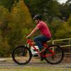Eastern Bikes Alpaka 29" Mountain Bike Men's Hardtail (Red, 17") view 4