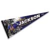 Baltimore Ravens Jackson Pennant Banner Flag view 1