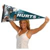 Philadelphia Eagles Hurtz Pennant Banner Flag view 4