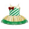 Loloda Kids Girls Christmas Holiday Mrs Santa Candy Cane Striped Figure Ice Skating Tutu Dress Leotard Green 16 Years view 1