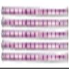 5 Pack of 48" Purple Icetubes view 1