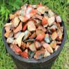 1000 Carat Lot Bulk Natural Rough Desert Jasper (Raw Stone Crystal, 200 Grams) view 1