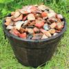 1000 Carat Lot Bulk Natural Rough Desert Jasper (Raw Stone Crystal, 200 Grams) view 2