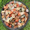 1000 Carat Lot Bulk Natural Rough Desert Jasper (Raw Stone Crystal, 200 Grams) view 3