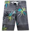 Bellaire Swim Trunks view 1