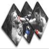 Bold Bloc Design - Nate Diaz Conor McGregor Grunge Sports 170x85cm Multi Canvas Art Print Box Framed Picture Wall Hanging - Hand Made in The UK - Framed and Ready to Hang 0021-0172(00B)-MP19-LO-B view 1