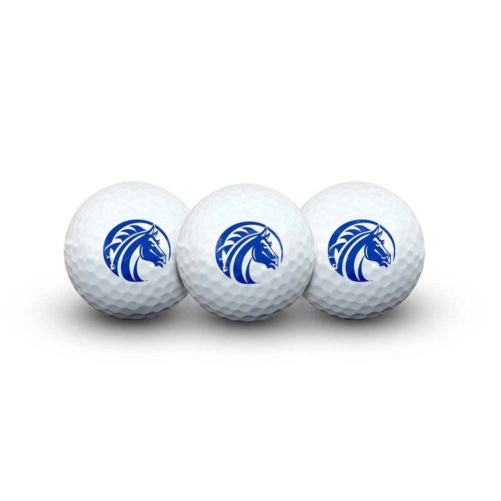 Fayetteville State University Golf Ball Pack of 3