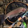 BARIVAS Super Trout Advanced Double Cross PE X8, Light Green, 328.1 ft (100 m), No. 0.6 (9.6 lb) view 4