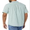 Amazon Essentials Men's Vacation Cotton Button-Down Short Sleeve Resort Shirt, Light Blue Stripe, X-Large view 2