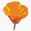 California Poppy No. 2 Vinyl Waterproof Sticker Decal Car Laptop Wall Window Bumper Sticker 5" view 1
