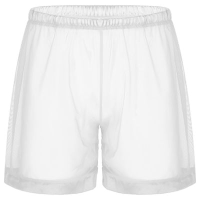 easyforever Mens See Through Mesh Trunks Boxer Shorts Loose Hot Pants Nightwear Beachwear Cover Ups White#Type A 4X-Large