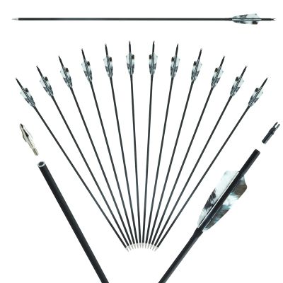 Archery Carbon Arrows Hunting Arrows Target Arrows 12 PCS 28" 29" 30" 31" with Real Feather Vanes Removable Tips Spine 400 500 for Compound Bows Recurve Bows Long Bows (Spine 400,white 30")