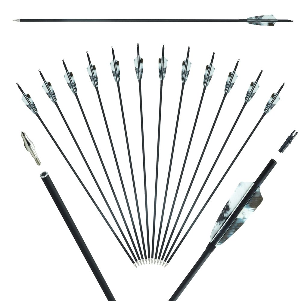 Archery Carbon Arrows Hunting Arrows Target Arrows 12 PCS 28" 29" 30" 31" with Real Feather Vanes Removable Tips Spine 400 500 for Compound Bows Recurve Bows Long Bows (Spine 400,white 30")