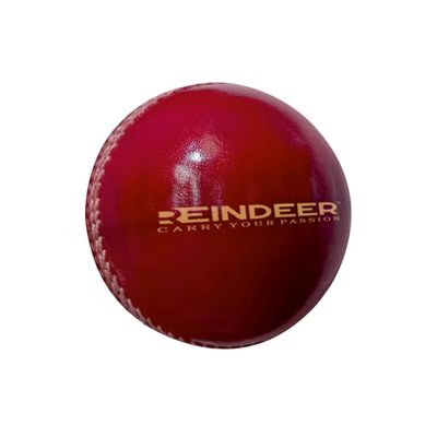 REINDEER Cricket Balls for Practice or Match A Grade Handstitched Made from (Red, Leather Plain Ball)