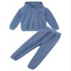 Agoky Unisex Kids Cotton Thicken Sweatsuit Long Sleeve Hooded Sweatshirt with Sweatpants Outfits Sport Activewear Light Blue 5-6 Years view 1