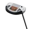 TaylroMade Spider GT RB Silver/Black #3 Righthanded 35IN view 4
