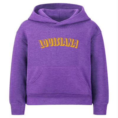 Daxton Youth Unisex Pullover Cities States Hoodie Mid-Weight Fleece Sweater - Lousiana Heather Purple Gold, M