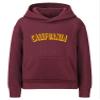 Daxton Youth Unisex Pullover Cities States Hoodie Mid-Weight Fleece Sweater - California Burgundy Gold, XS view 1