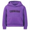 Daxton Youth Unisex Pullover Cities States Hoodie Mid-Weight Fleece Sweater - Colorado Hth Purple Black, L view 1