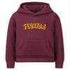 Daxton Youth Unisex Pullover Cities States Hoodie Mid-Weight Fleece Sweater - Florida Burgundy Gold, S view 1
