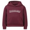 Daxton Youth Unisex Pullover Cities States Hoodie Mid-Weight Fleece Sweater - Alabama Burgundy White, S view 1