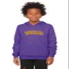 Daxton Youth Unisex Pullover Cities States Hoodie Mid-Weight Fleece Sweater - Lousiana Heather Purple Gold, S view 2